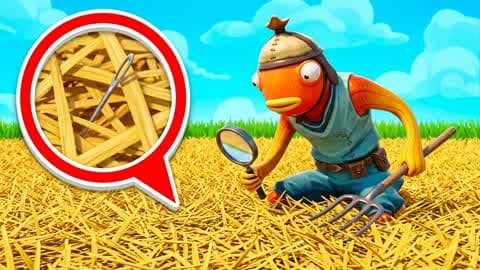 🔎 Find a Needle in a Haystack🌾