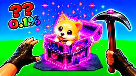 UNBOX A PET