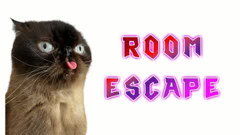 🧠 Cats IQ Escape Room 🔑