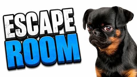 ✨ESCAPE ROOM THE ULTIMATE
