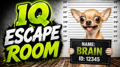MEGA BRAIN 🧠 IQ ESCAPE