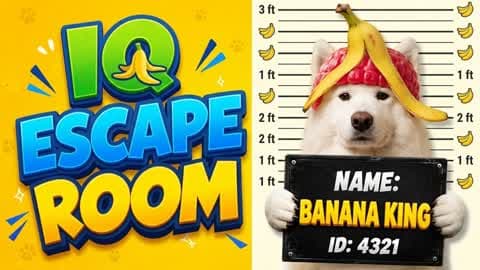 ✨[50] ESCAPE ROOM ✨