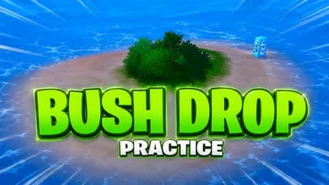 BUSH DROP PRACTICE [SCHMALI]