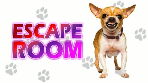 🔑 Angry Dog IQ Escape Room 🔑