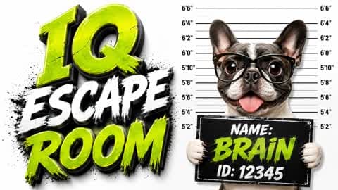 BRAIN 🧠 IQ ESCAPE ROOM
