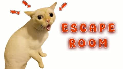 👑 Cat IQ Escape Room 👑