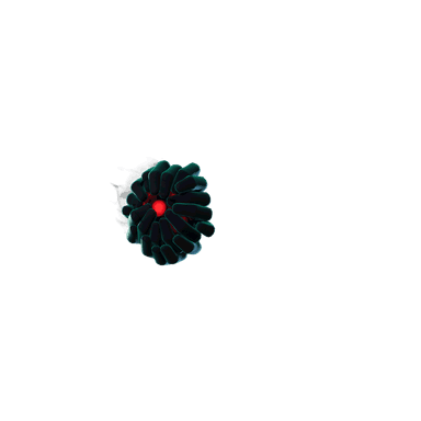 Dark Grasp