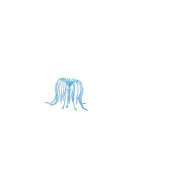 Woodsprite