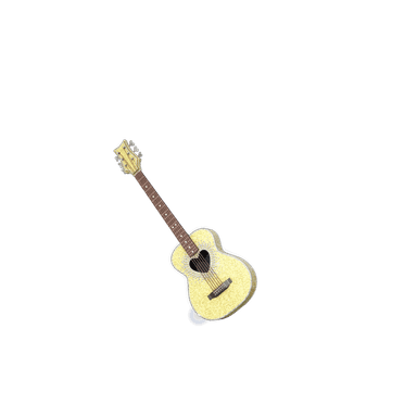 SC Guitar
