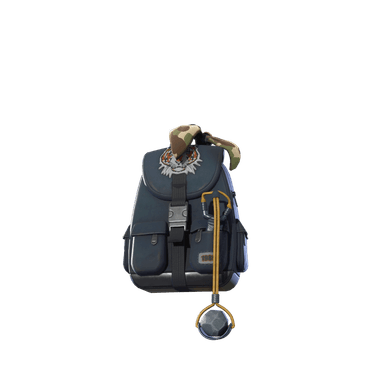 Lucas' Backpack