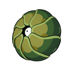 Pillbug Jerry