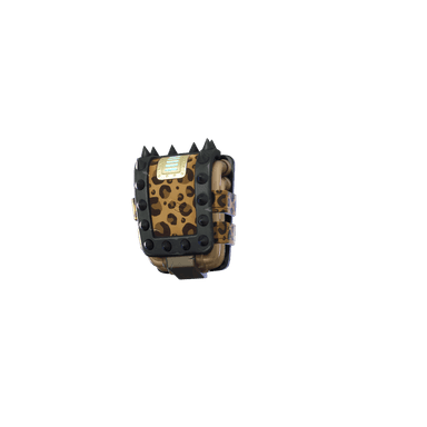 Leopard's Hoard