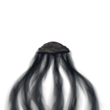 Shadow Shroud