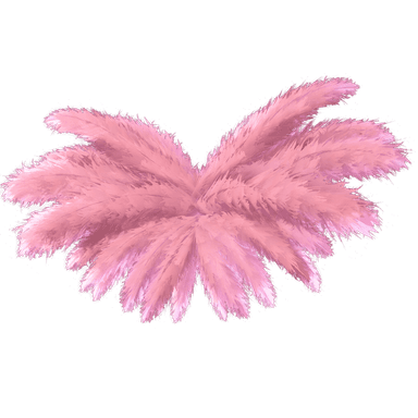 Madison's Angel Wings