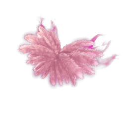 Madison's Angel Wings