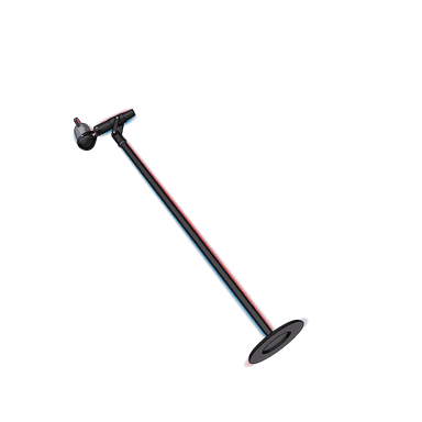 2D's Mic