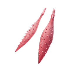 Poison Petals