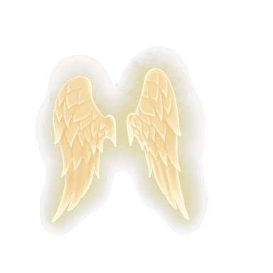 Wings of Light