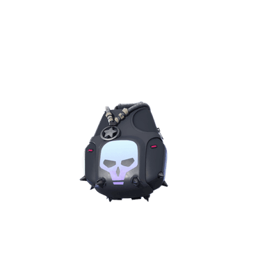 Expert's Bonebag