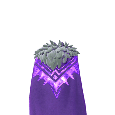 Shuri's Cloak