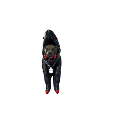 Shark