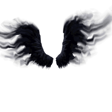 Shadow Wings