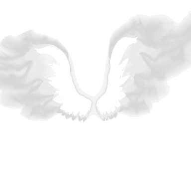 Perfect Wings