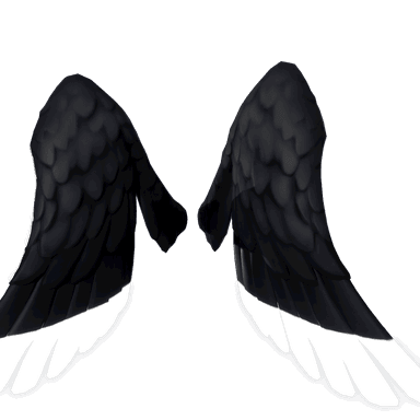 Shadow Ark Wings
