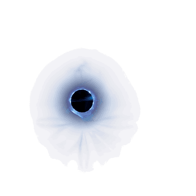Black Hole