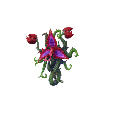 Back Bloom