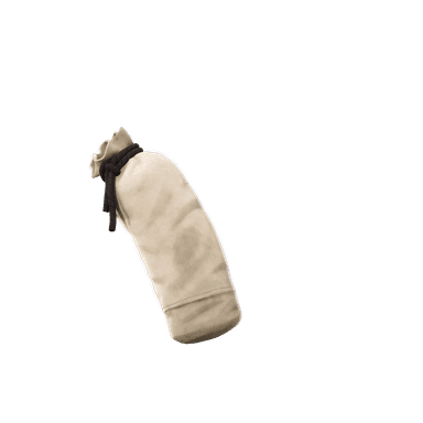 Training Bag
