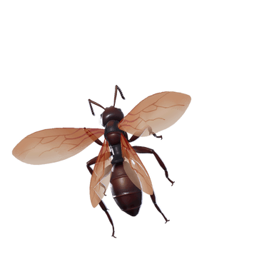 Ant-Tonio