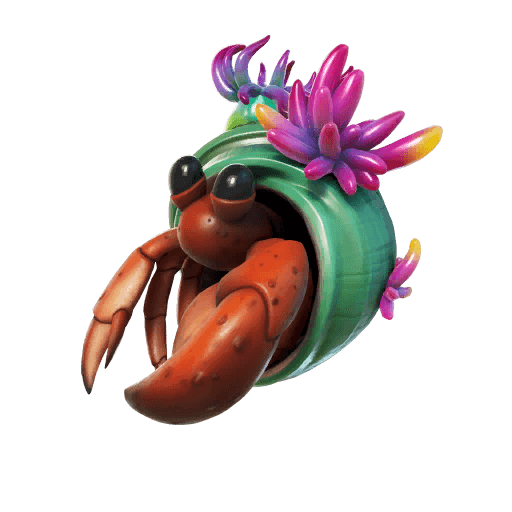 Shelly