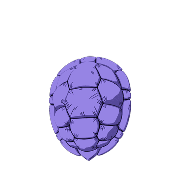 Kamesennin's Shell