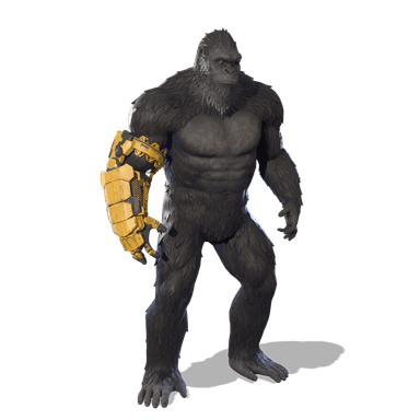 Kong