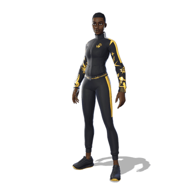 Stealthy Surveyor