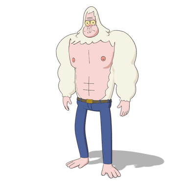 Skips