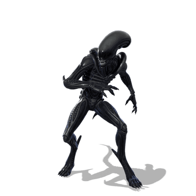 Xenomorph