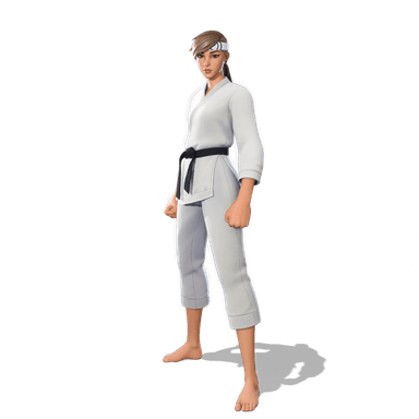 Kata Captain