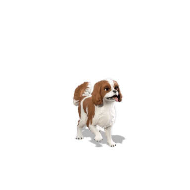 Sandy Spaniel