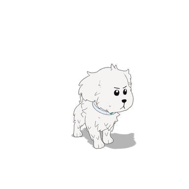 Snowball