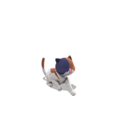 Kit