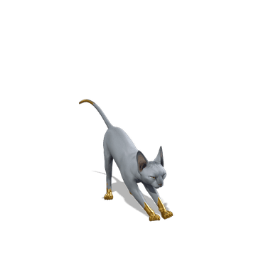 Meowdas Sphynx