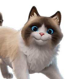 Fancy Ragdoll