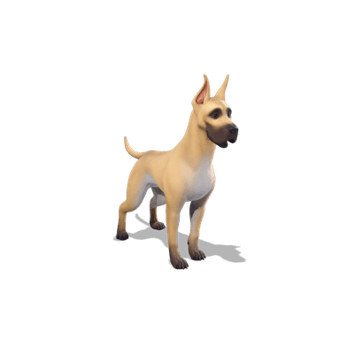 The Dane