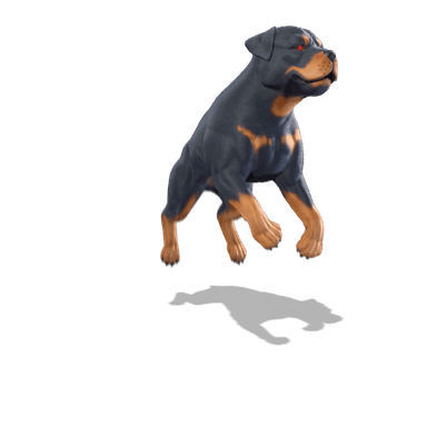 EsDeeKid's Canine