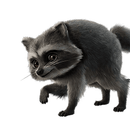 Jimothy