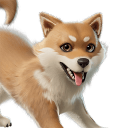Miso