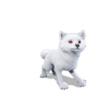 Direwolf Pup