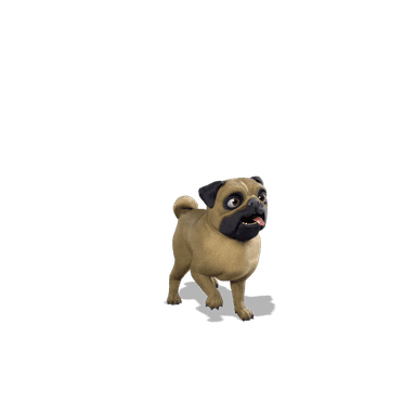 Doggo Jr.